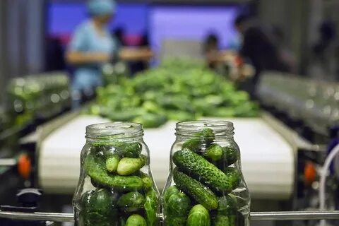 Производство консервированных овощей