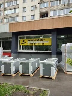 Чижик открытие 2024