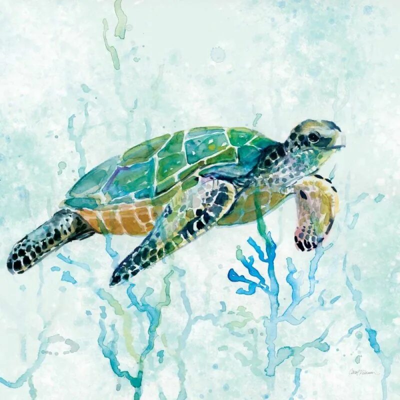Возможность изображения картинки на экране холста turtle