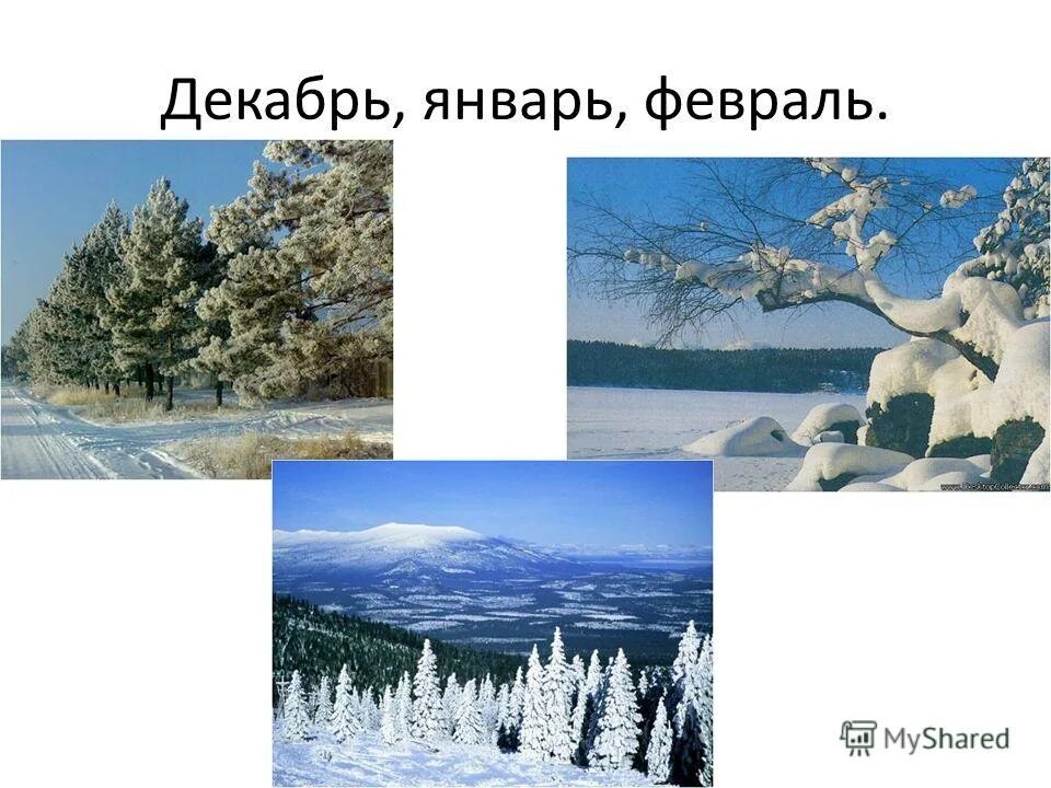 Проявить январь. Декабрь январь февраль. Декабрь январь февраль зимние месяцы. Зима месяцы для детей. Декабрь январь февраль картинки для детей.