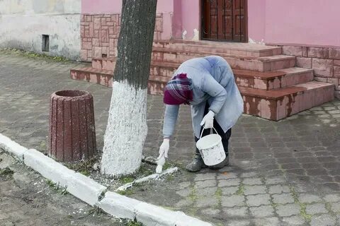 Белим