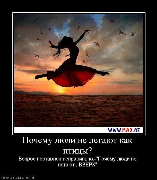 Б отчего люди не летают. Летать высказывания. как летают птицы. почему люди летают как птицы?. люди летают как птицы.