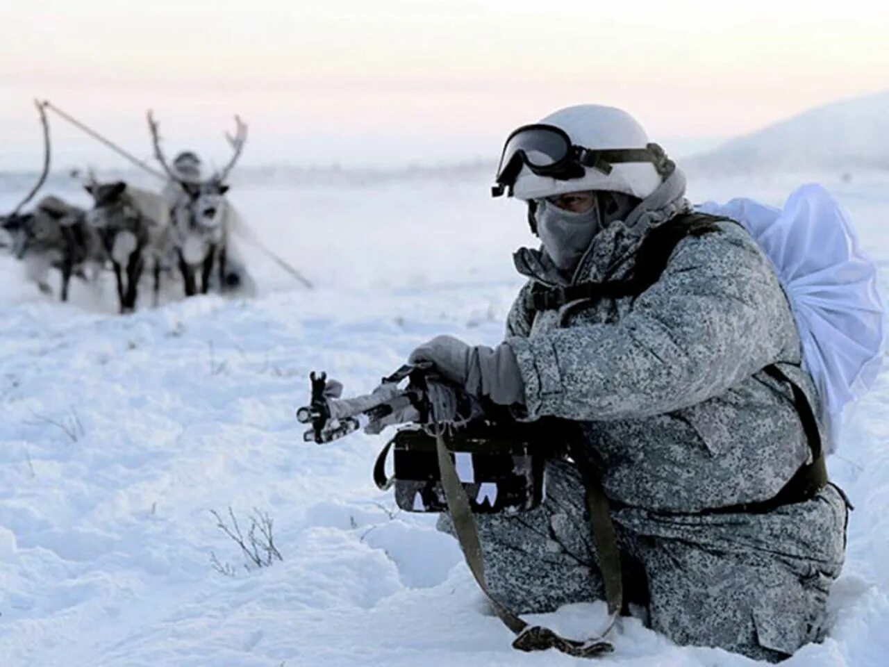 Военный северный. 80 ОМСБР А Арктическая бригада. 80 Арктическая бригада в Ловозеро. 80 Мотострелковая Арктическая бригада. ССО В Арктике.