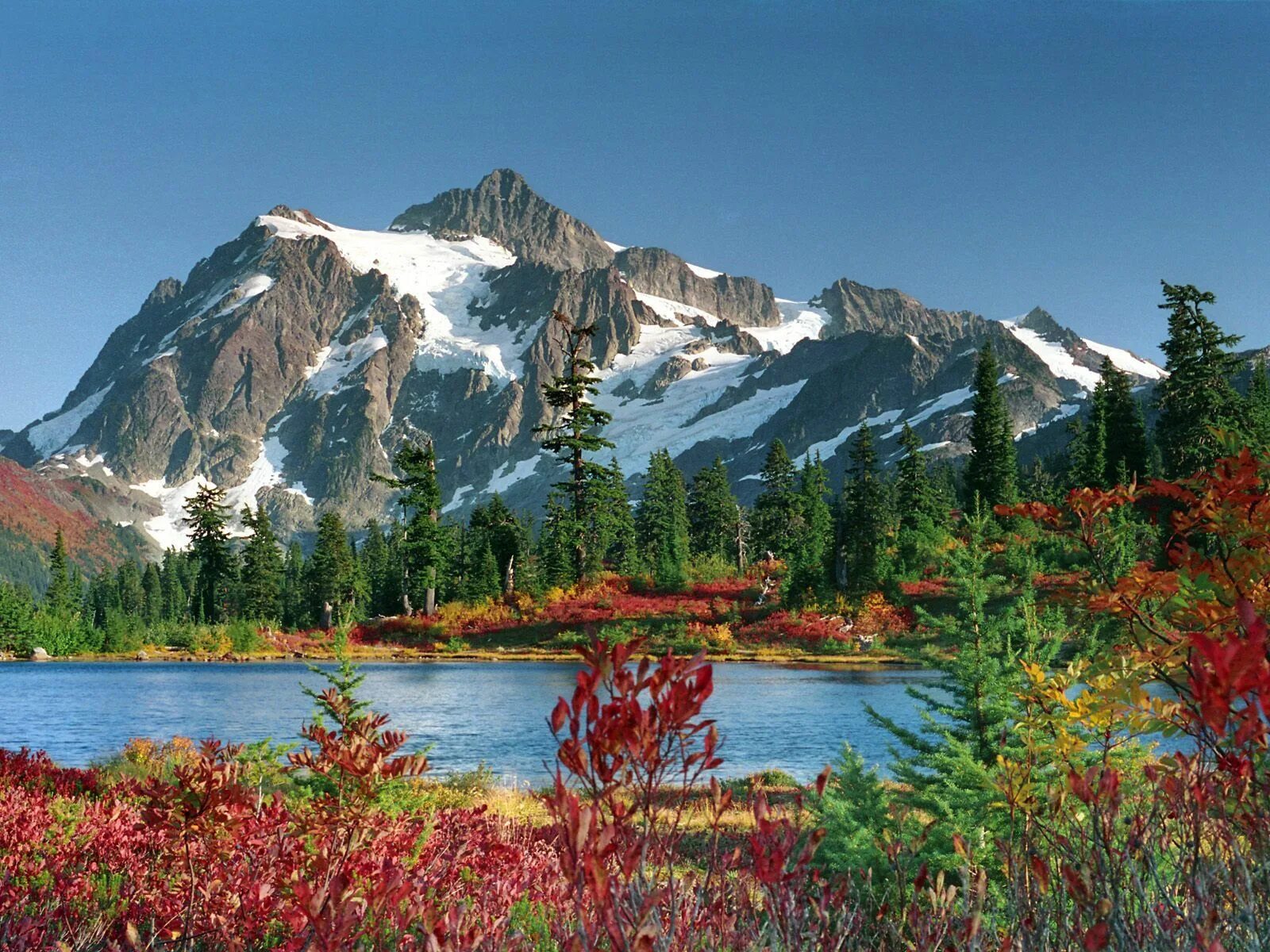 The mountains in are beautiful. Евразия природа Евразии. Растительность Кордильер Северной Америки. Горный пейзаж. Красота природы.