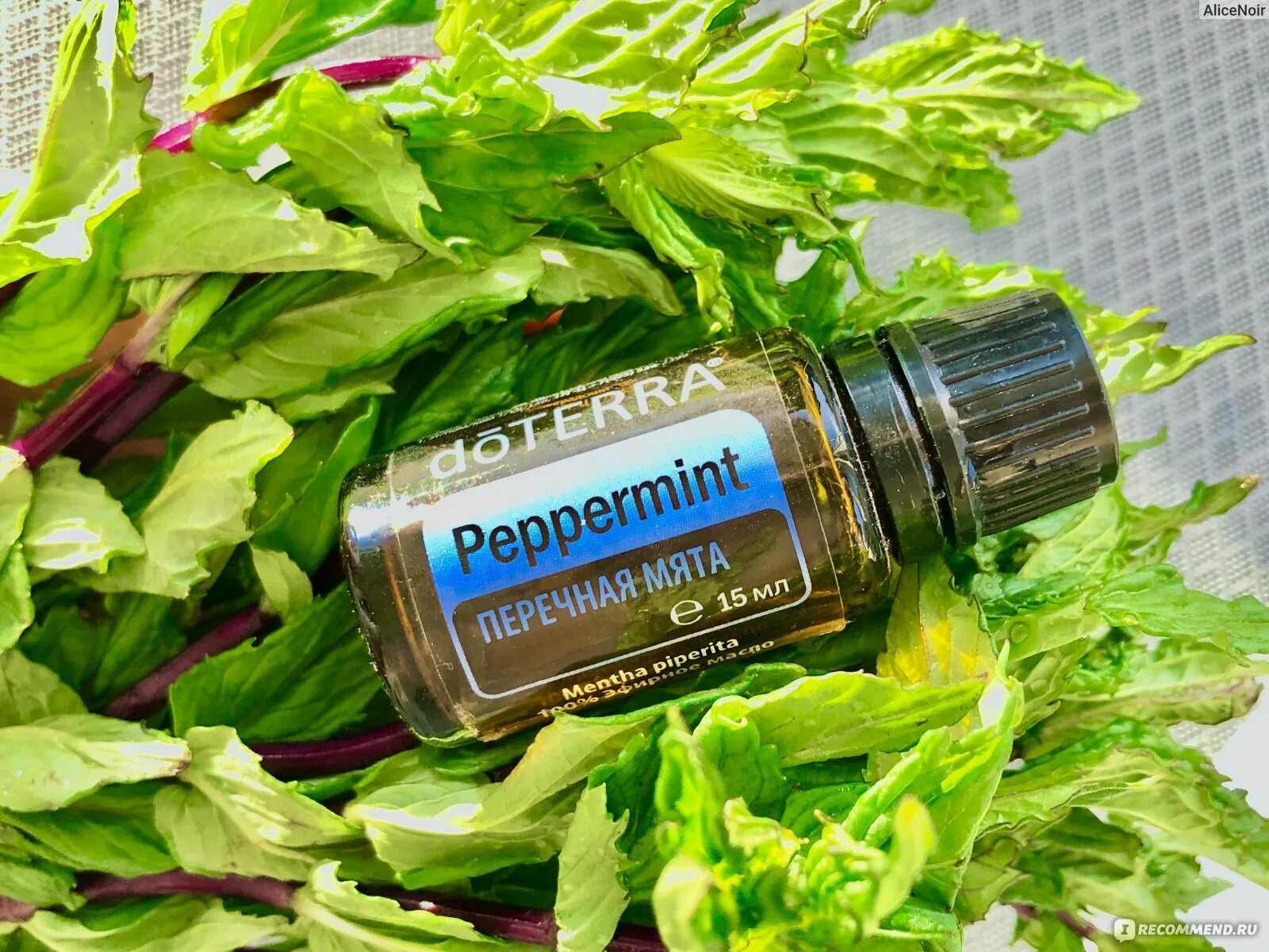 DOTERRA мята. Перечная мята ДОТЕРРА. Мята эфирное масло ДОТЕРРА. Эфирное масло перечная мята DOTERRA.