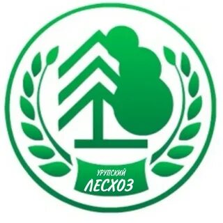 Факультеты лесного хозяйства