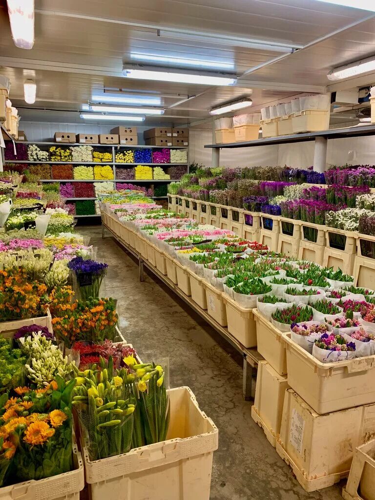 Оптовый склад цветов. Оптовый магазин цветов. Оптовая база цветов. Цветочный рынок.