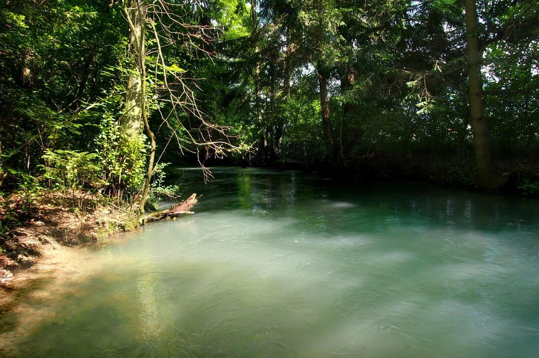 Jungle river