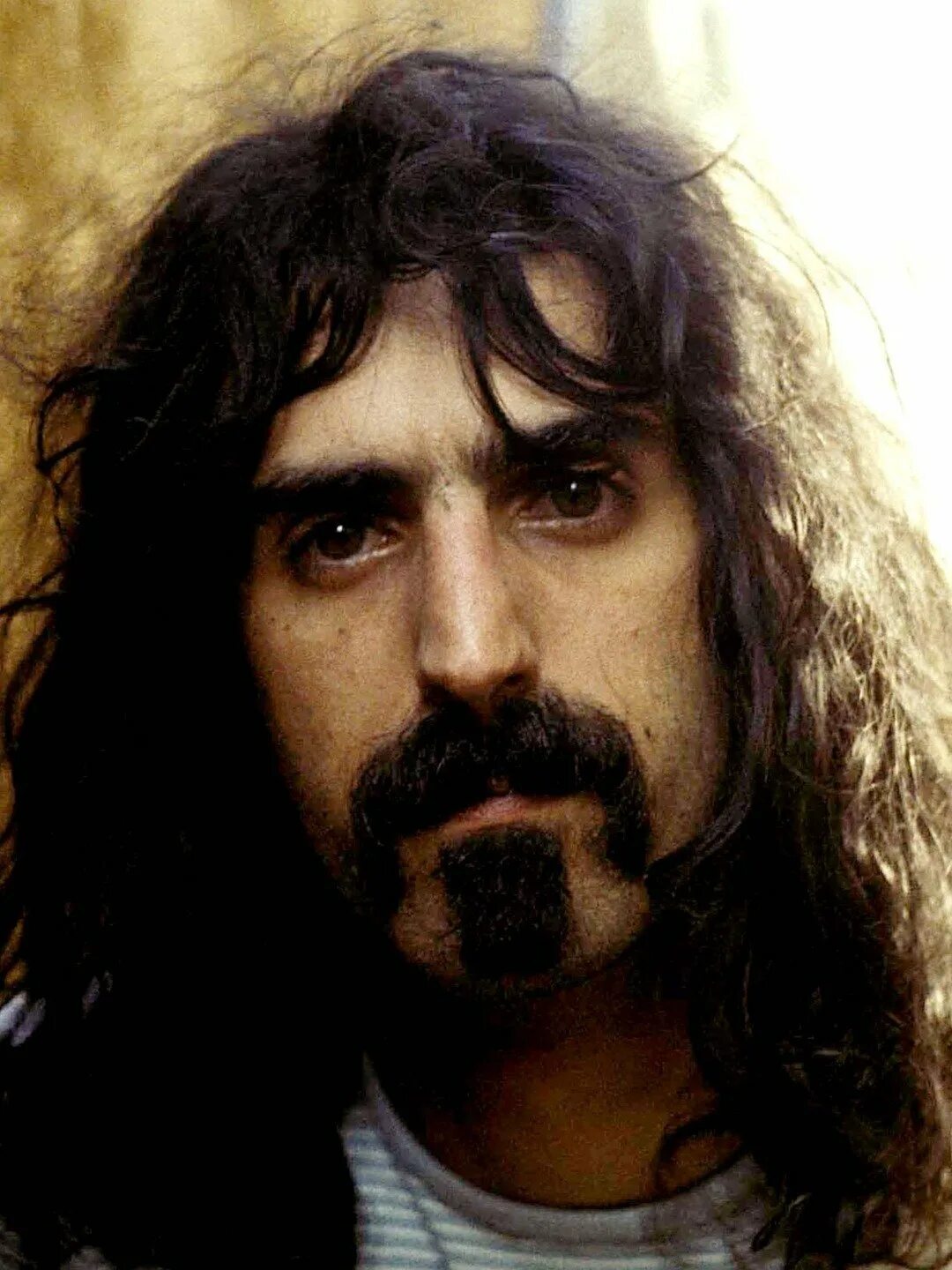 Фрэнк заппа википедия. Frank zappa. фрэнк заппа группа. фрэнк винсент. frank zappa 1993.