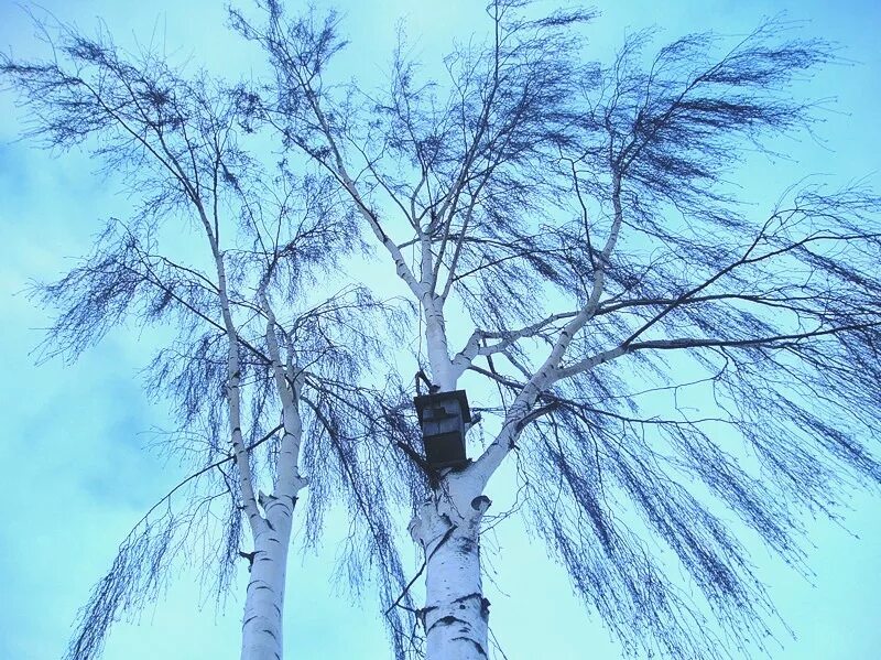 песни весенний ветер