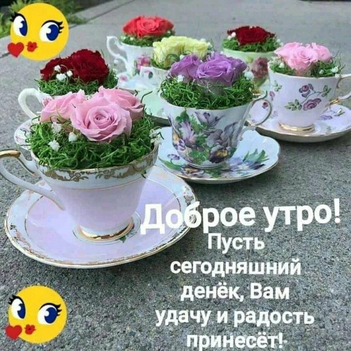 Пусть утречко будет доброе. Доброго вам утра. с добрым утром с пожеланиями здоровья. доброе утро удачи. пожелания с добрым утром и доброго здоровья.