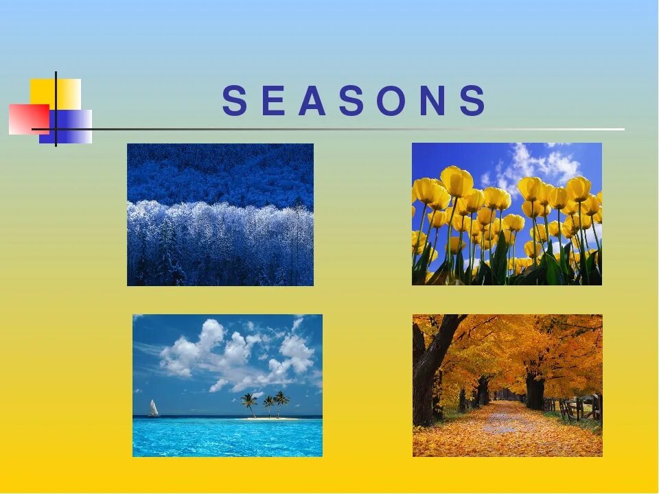 Seasons презентация. Урок на тему Seasons. Презентация времена года. Seasons 2 класс. School project seasons