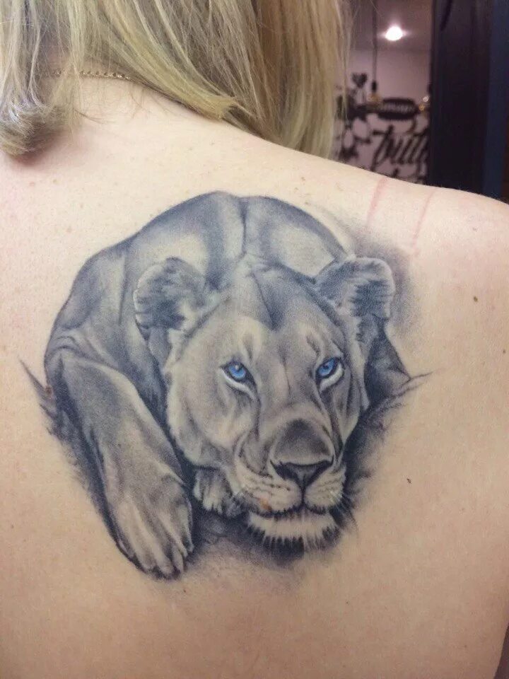 Тату львица для девушек. Тату львица значение для девушек. Тату львица значение для девушек. Тату лев. Тату львица.
