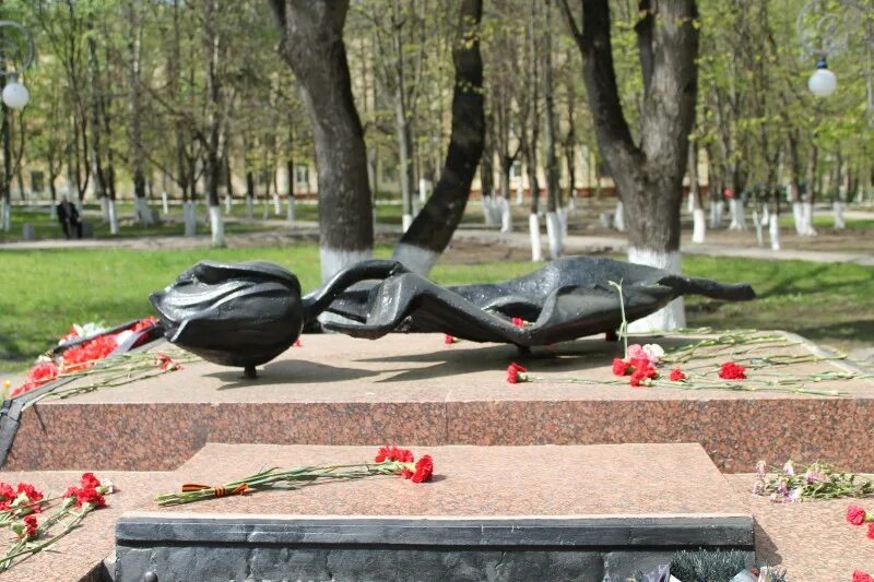 Мемориала черный тюльпан. Мемориал афганцам в екатеринбурге. монумент черный тюльпан курчатов. чёрный тюльпан - памятник павшим в боях в афганистане. мемориал черный тюльпан екатеринбург.