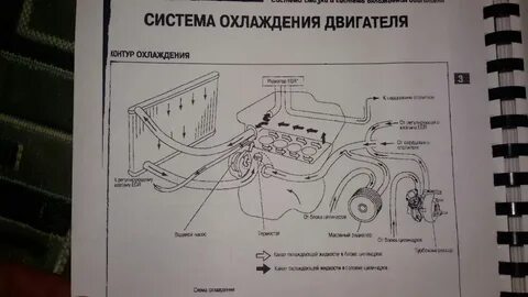 Система охлаждения ниссан патфайндер 2.5
