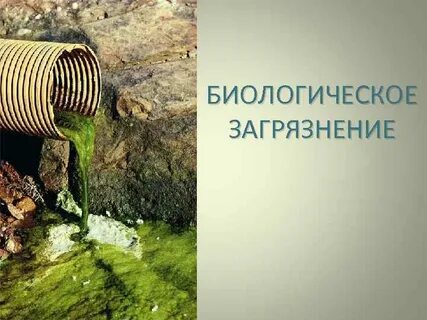 Биологическая окружающая среда