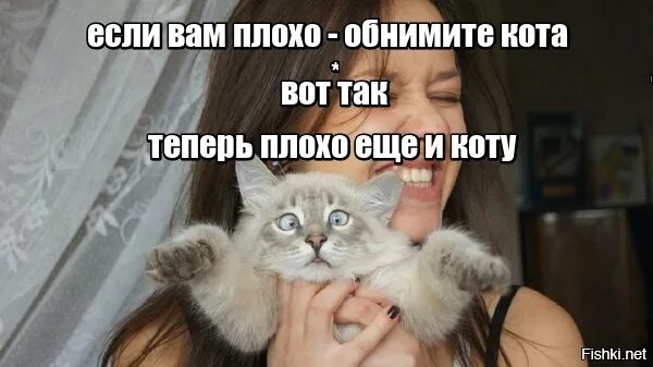 Теперь кота. Если вам плохо обнимите кота. тебе плохо обними кота. затискать парня. если тебе плохо обними кота.