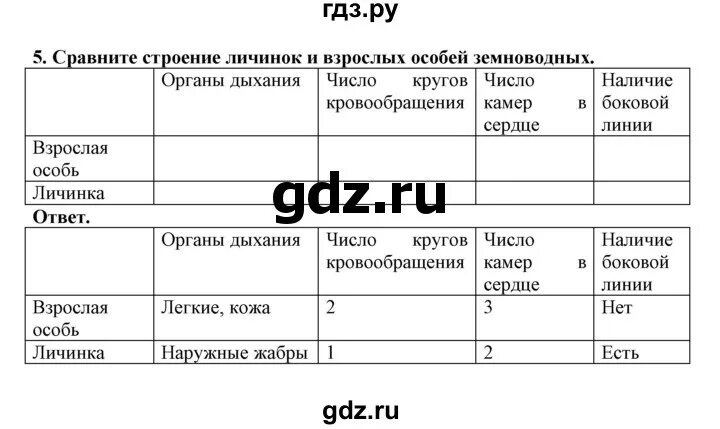 Таблица по истории 7 класс параграф 24