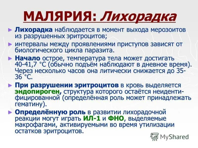 Заболел малярией. Малярия лихорадка. Лихорадка при малярии.