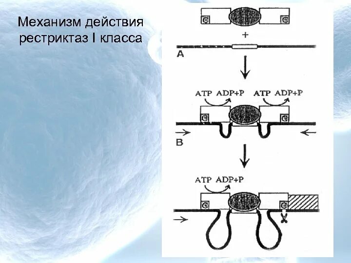 Классификация плоских механизмов по ассуру. Группа ассура 3 класса. Механизм первого класса тмм. Базисное звено. Механизм 1 класса.