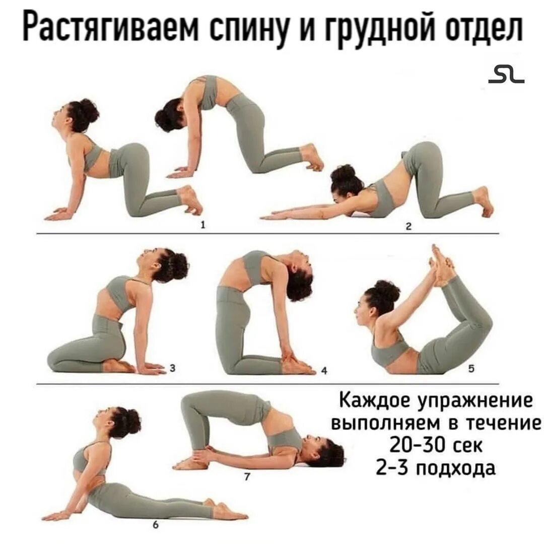 Упражнения силовой направленности на мышцы спины. Упражнения для укрепления спины. Упражнения на спину. Спина бицепс программа. Упражнения для спины для укрепления мышц спины.