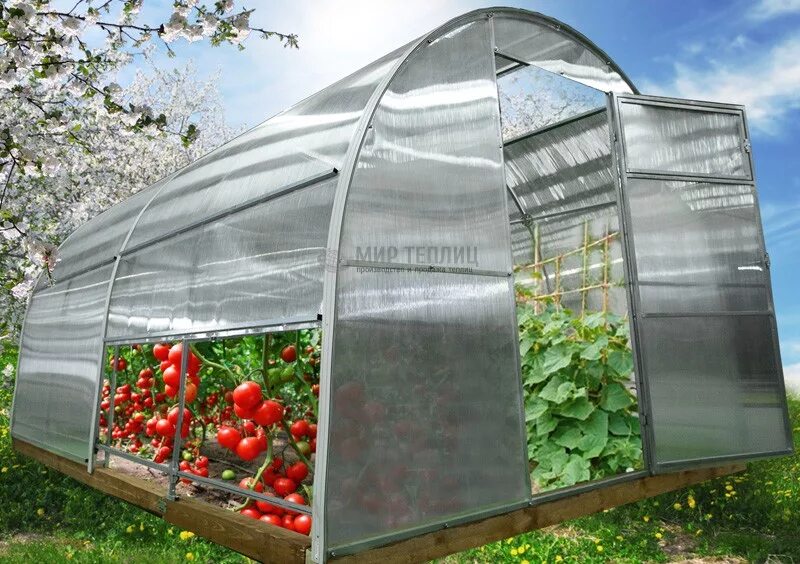 5м. теплица кремлевская с открывающейся крышей и боками. теплица с открывающейся крышей и боками. теплица тюльпан антишторм с открывающейся крышей. теплица с открывающейся крышей и боками.