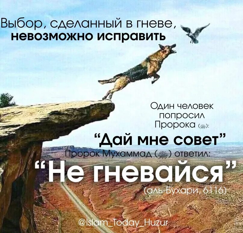 Сделанное в гневе невозможно исправить. Выбор сделанный в гневе. выбор сделанный в гневе невозможно. выбор сделанный в гневе нельзя исправить.