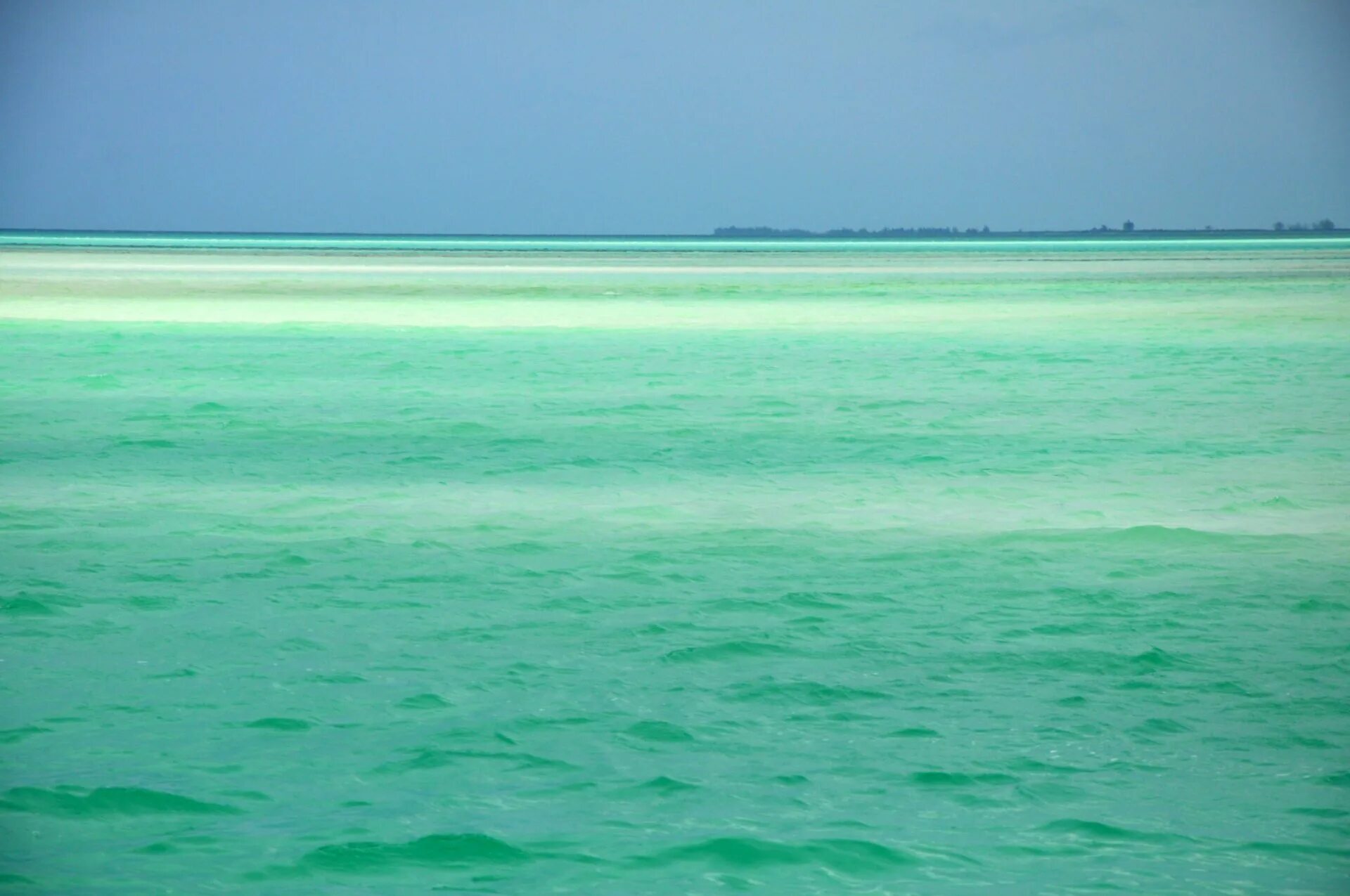 Красивая природа море. Зеленое море. Красивое зеленое море. Пейзаж. Море зеленого цвета.