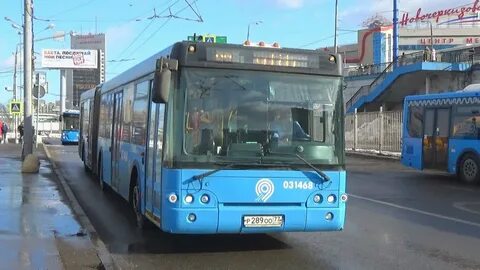 Черкизово автобусы