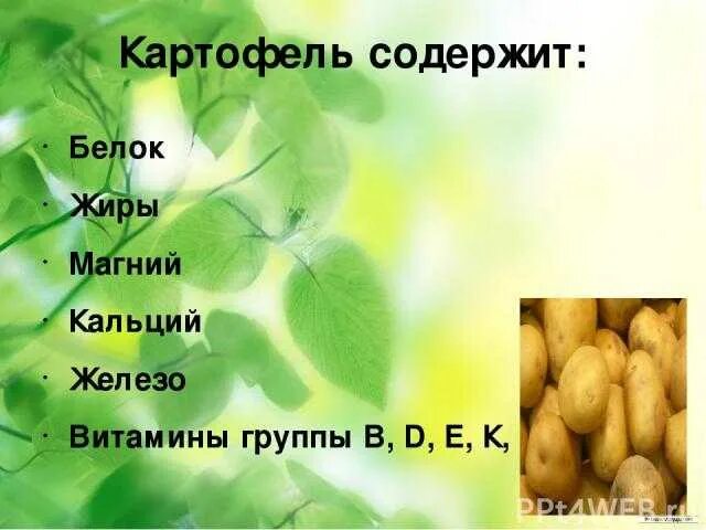Какие витамины содержит картофель. Витамины в картофеле. какие витамины содержатся в картошке. какие витамины в картофеле. какиевитаминыв картошуе.