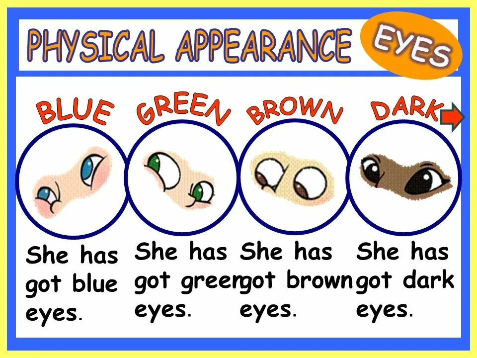 Appearance Eyes. She has got Blue Eyes картинка. Physical appearance перевод. What is physical appearance. He has have got blue eyes