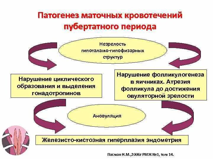 Маточное кровотечение термин. Патогенез дисфункциональных маточных кровотечений. Этиология дисфункциональных маточных кровотечений. Ювенильные маточные кровотечения патогенез. Аномальные маточные кровотечения пубертатного периода патогенез.