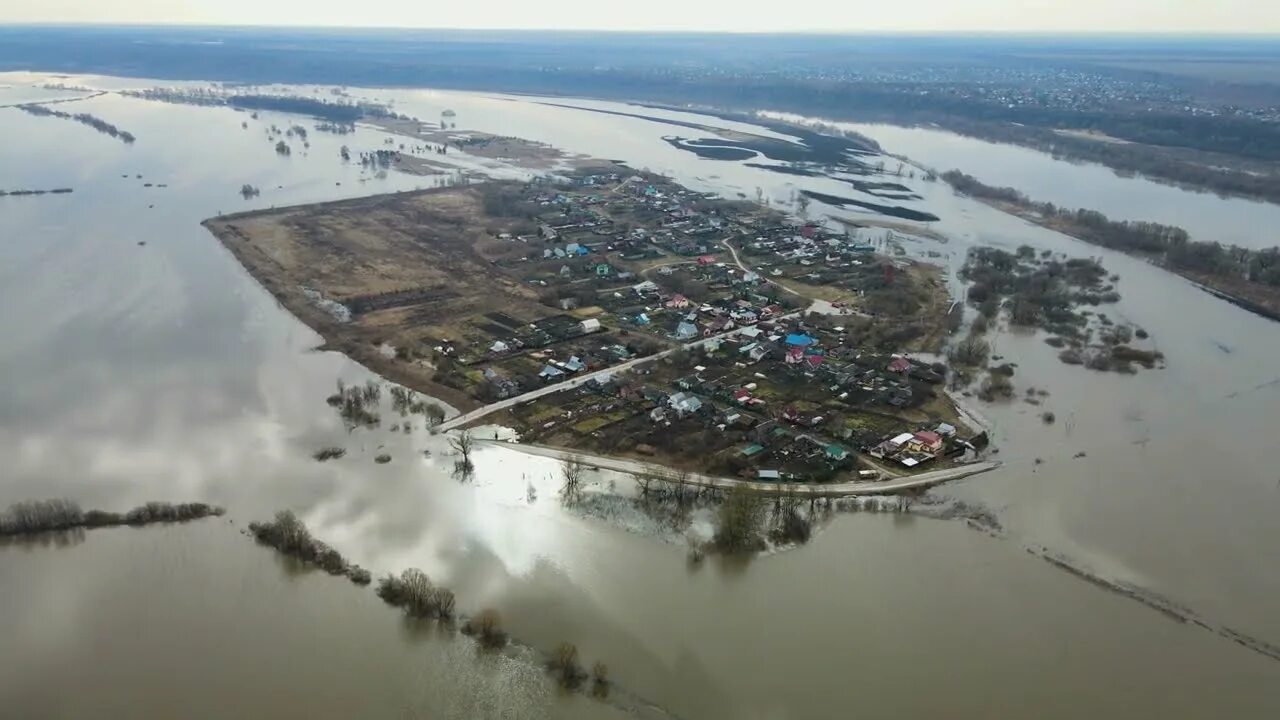 Уровень воды в белоомуте на сегодня оке. Разлив Оки 2023. Разлив Оки в Рязани 2023. Луховицкий район с.Слемские Борки. Разлив Оки в Белоомуте 2023.