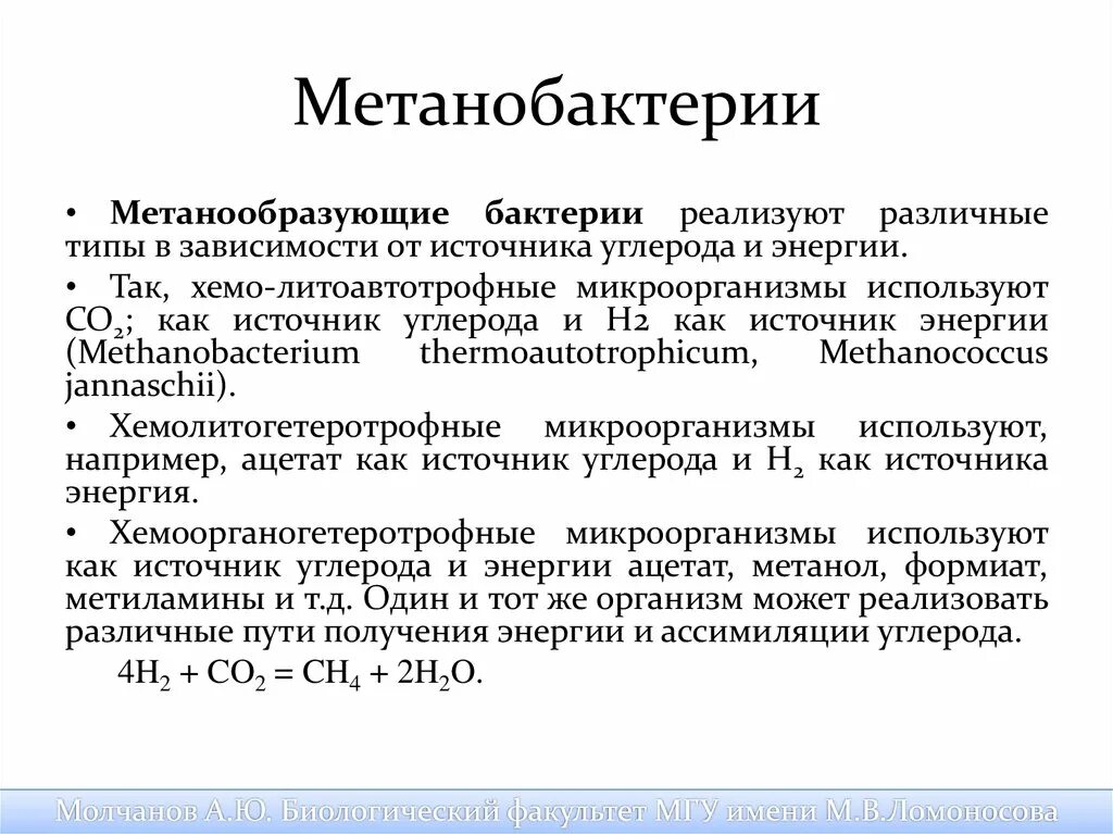 Бактерии выделяют метан. Метановые бактерии. Особенности метанообразующих бактерий. Метанобактерии значение. Метанообразующие археи.