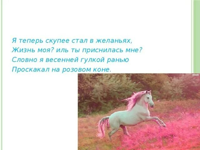 Иллюстрация к стихотворению есенина пороша. Есенин на лошади. Милый милый смешной дуралей есенин. Матершинные стихи про лошадку. Конь стихи есенина.