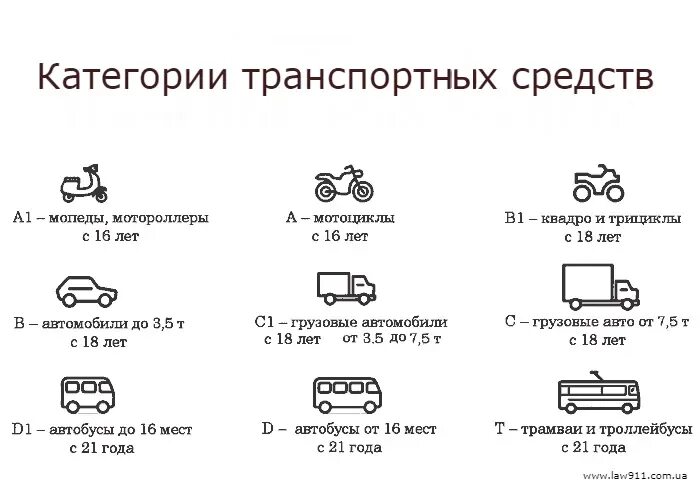 Категория автомобиля м 2 м 3. Категории ТС расшифровка. Категории водительских прав n2 и n3. Транспортных средств категорий n2, n3, o3, o4. Транспортные средства категории m1 m1g n1g.