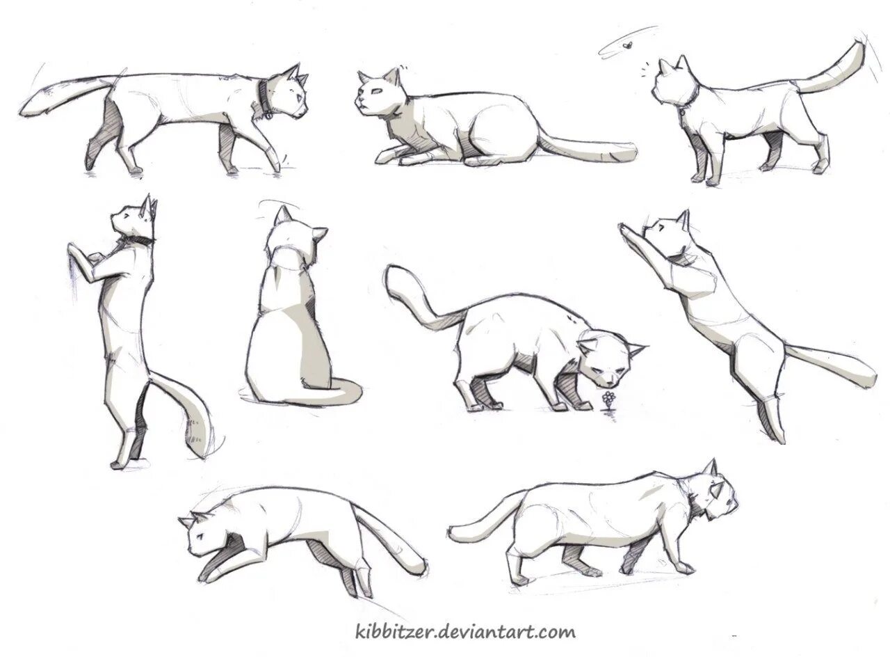 Кот стоит спиной