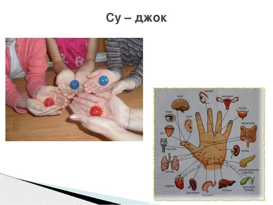 Массаж рук шарик Су-Джок с ребенком. Мелкая моторика Су Джок. Массаж пальчиков для малышей с Су Джок. Гимнастика для пальцев рук Су-Джок. Моторика пальчиков
