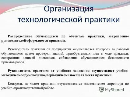Учебная практика экономика