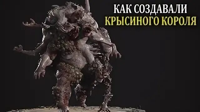 Явление крысиный Король. Самый большой крысиный Король.