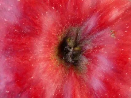 Detail apple
