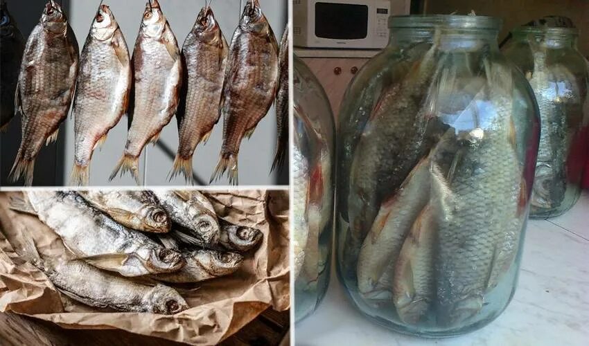 Можно ли заморозить леща
