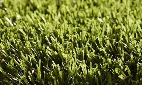 Grass спб