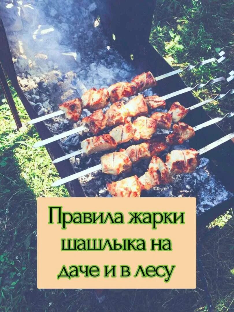 Можно ли жарить шашлыки в городе. Можно ли жарить шашлыки в городе