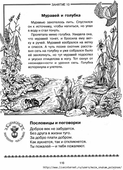 Басня Толстого муравей и Голубка текст. Лев толстой рассказ муравей и Голубка. Л толстой муравей и Голубка текст. Муравей и голубь толстой. Муравей сел на ветку и спасся волна