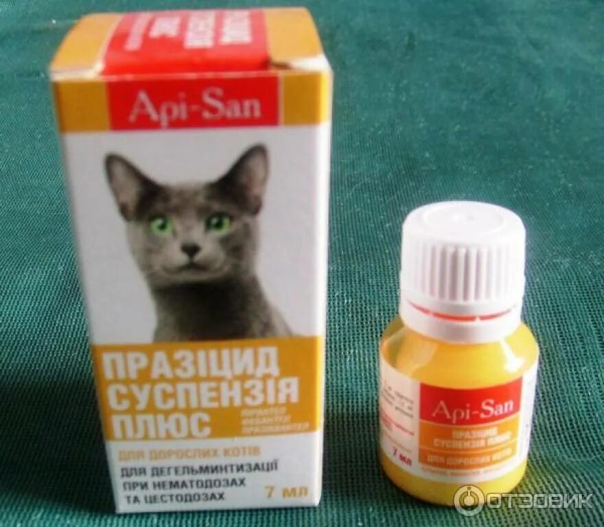Что можно дать котенку от глистов