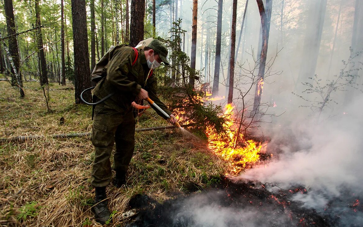 Пожарники тушат лесной пожар. Пожар в лесу. Лесные пожары. Стихийное бедствие пожар. Опасность лесных пожаров.