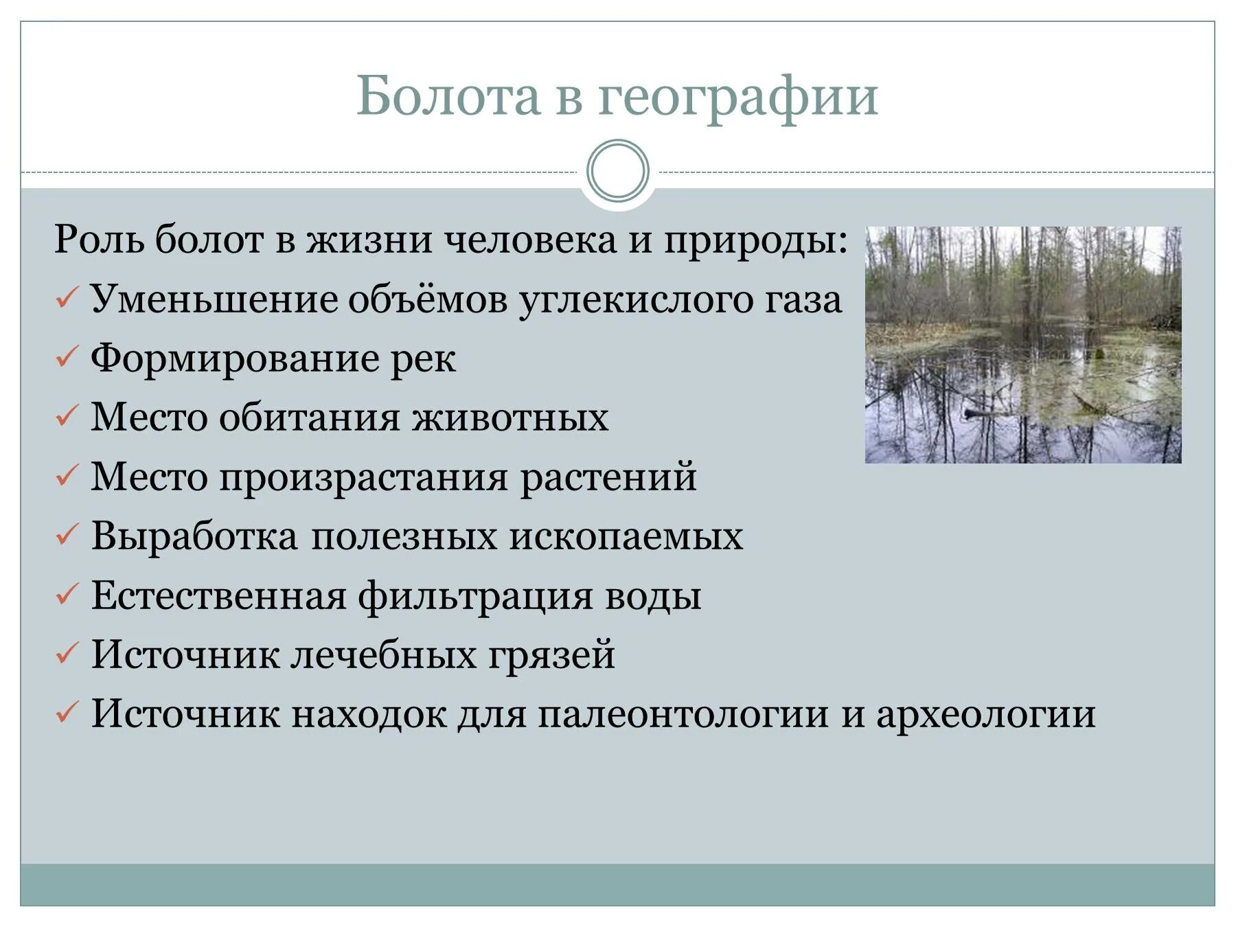 Функции болот. Роль болот в природе и жизни человека. Роль болот в жизни человека. Экологическая роль болот. Роль природы в жизни человека.