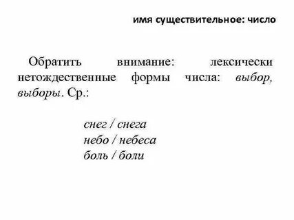 Выборы число существительного