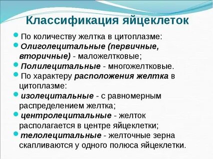 Вторично изолецитальная яйцеклетка